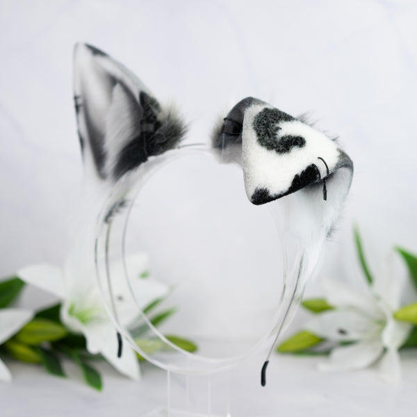 Monochrome Calico puppy ears