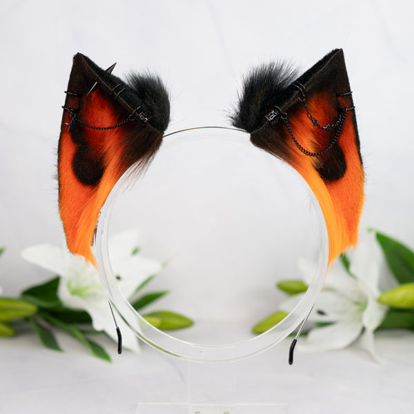 Pumpkin cat ears