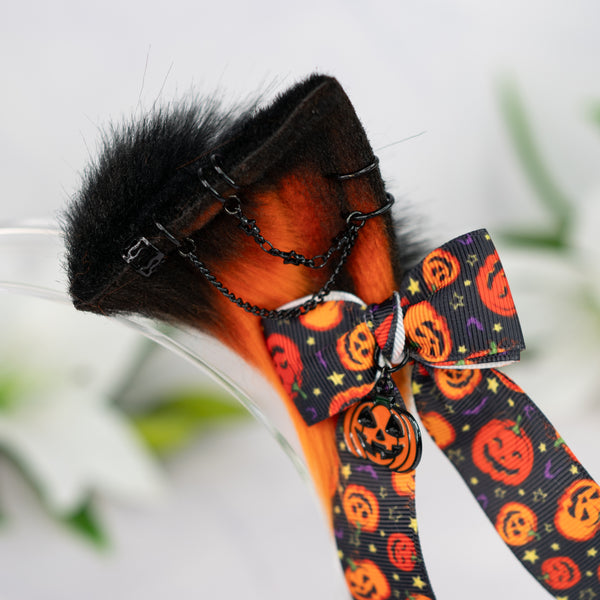 Pumpkin kitten ears