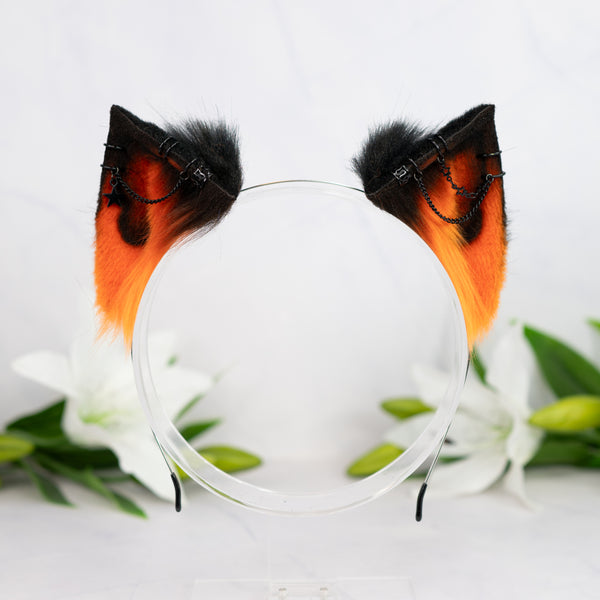 Pumpkin kitten ears