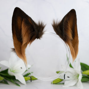 Realistic chocolate wolf ears