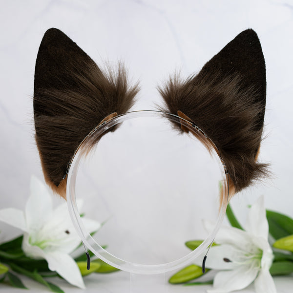 Realistic chocolate wolf ears