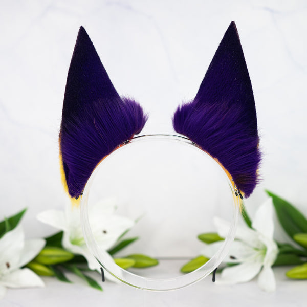 Sunset fox ears