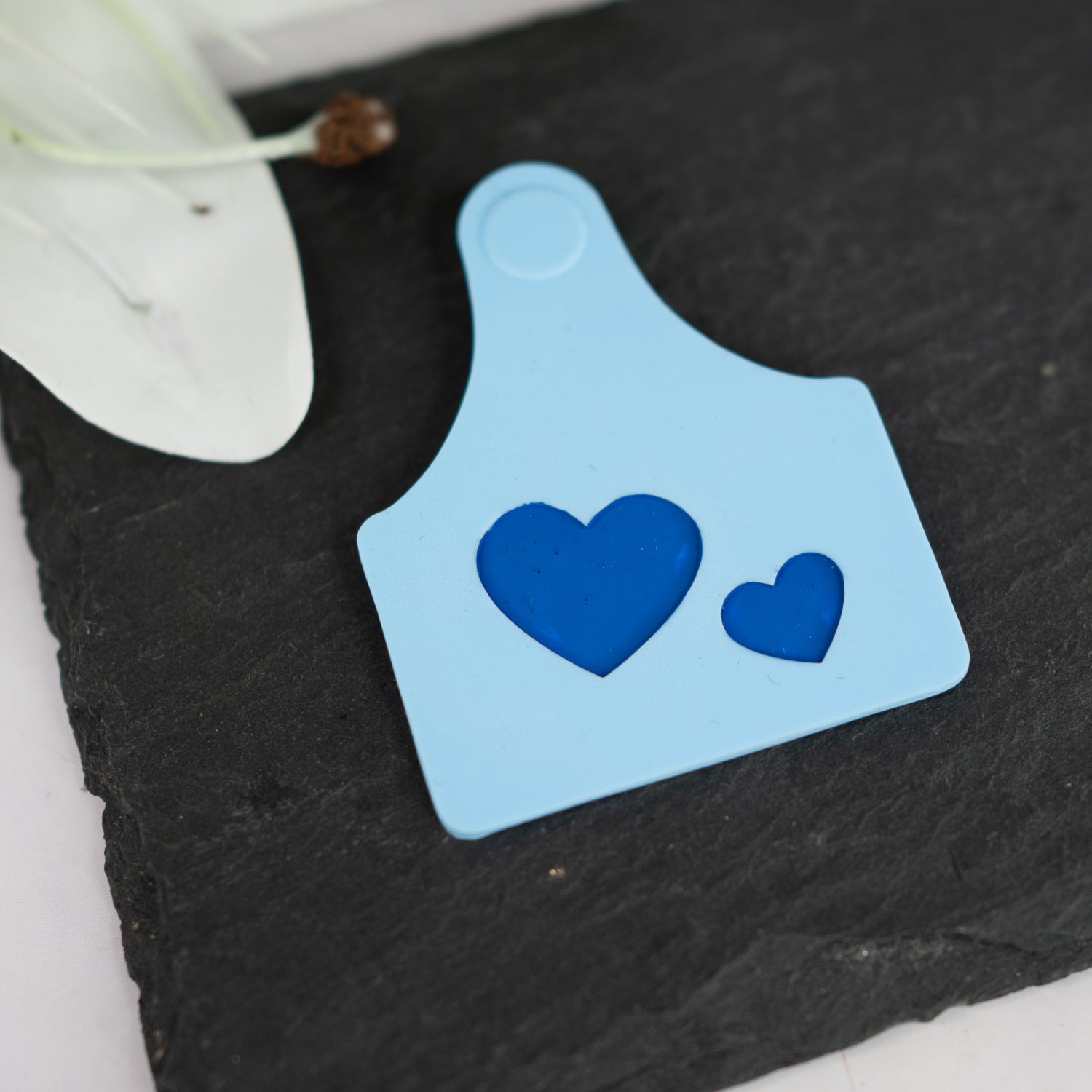 Magnetic cow ears tag - Blue
