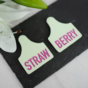 Magnetic cow ears tags - Light green / pink - Straw / Berry