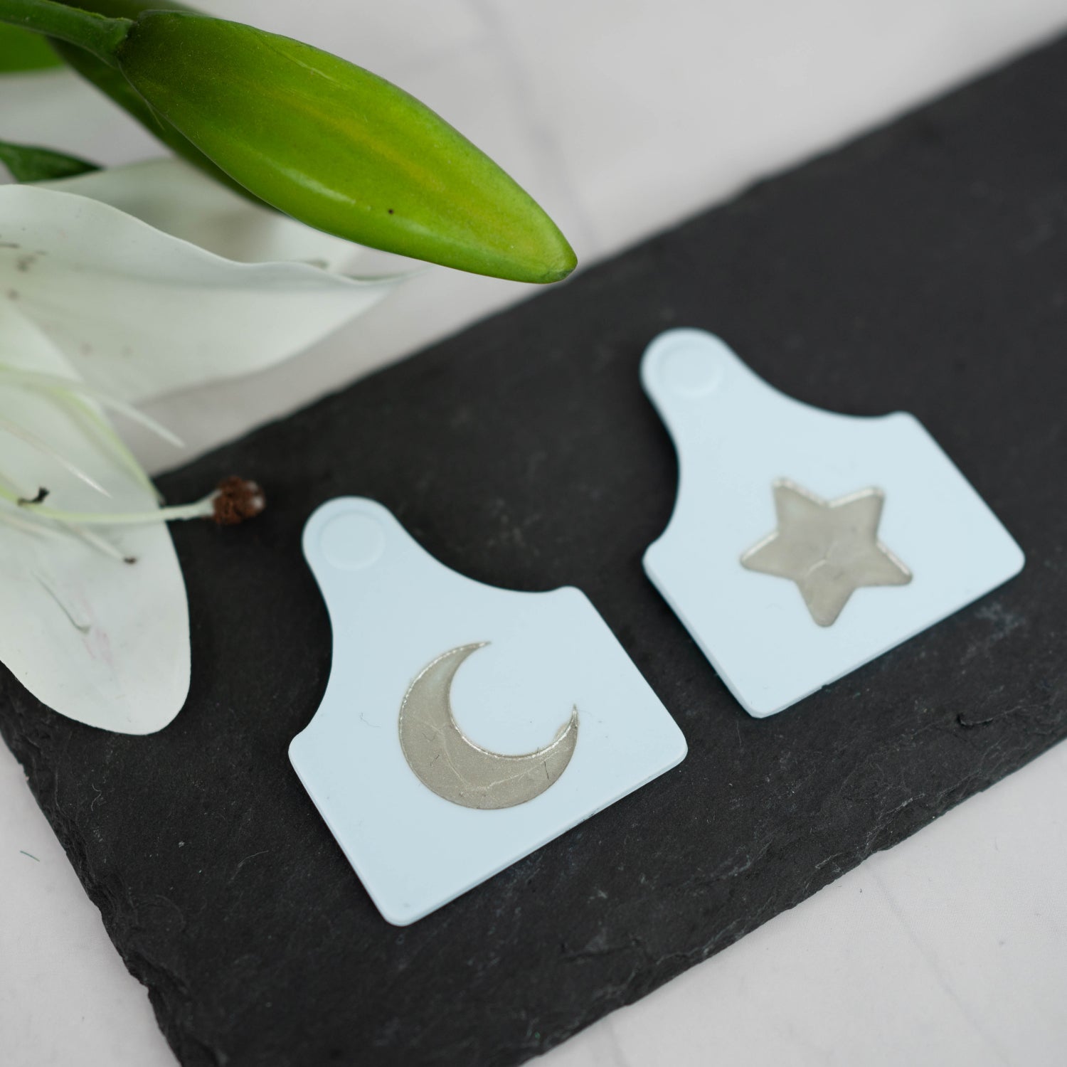 Magnetic cow ears tags - Pastel blue / silver - Moon / Star