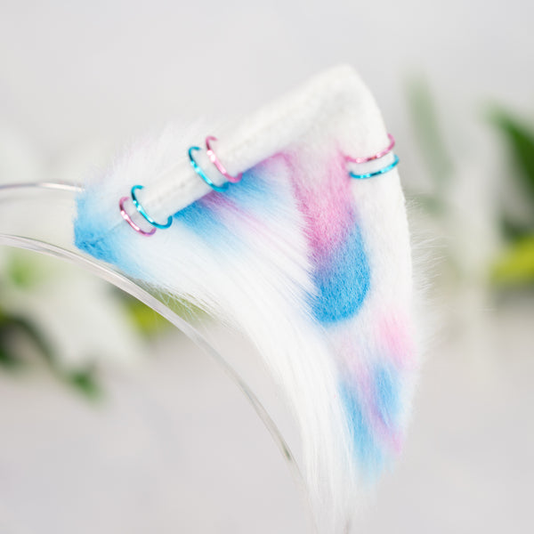 Trans flag inspired kitten ears