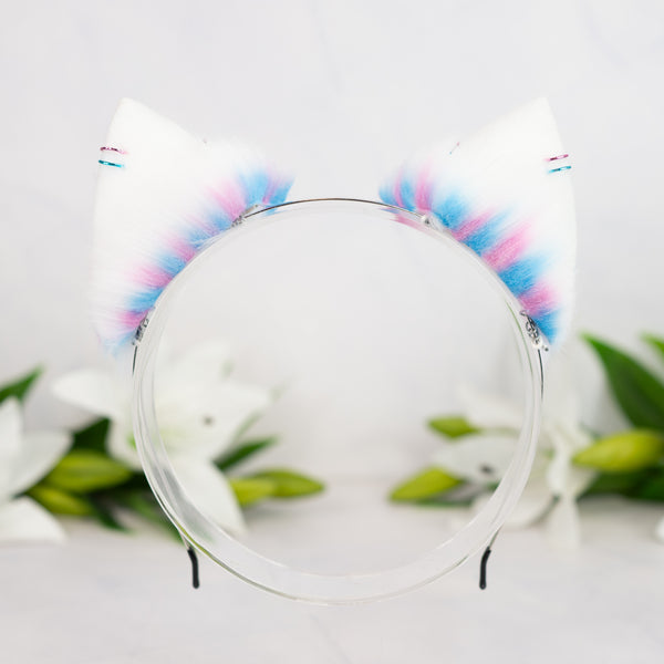 Trans flag inspired kitten ears