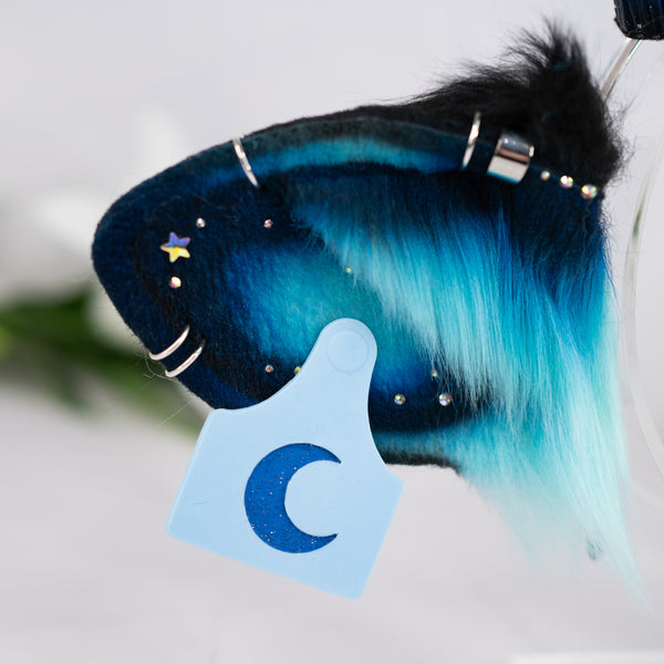 Turquoise galaxy cow ears