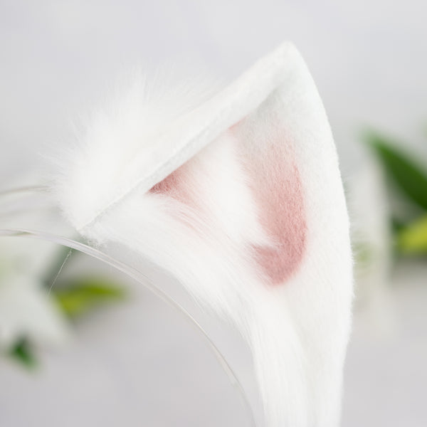 White cat ears