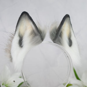 Wild harmony wolf ears