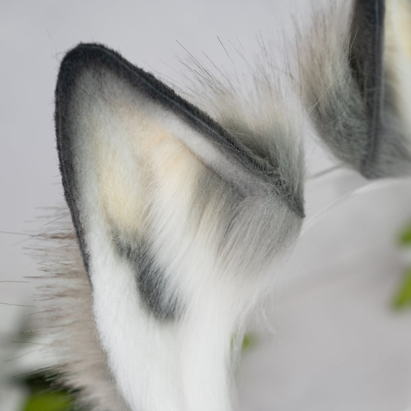 Wild harmony wolf ears