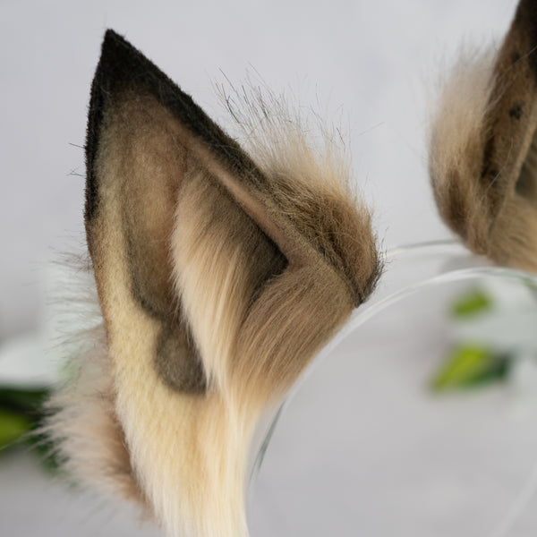 Wildwood whispers fox ears