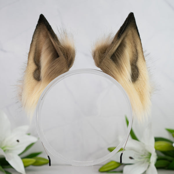 Wildwood whispers fox ears